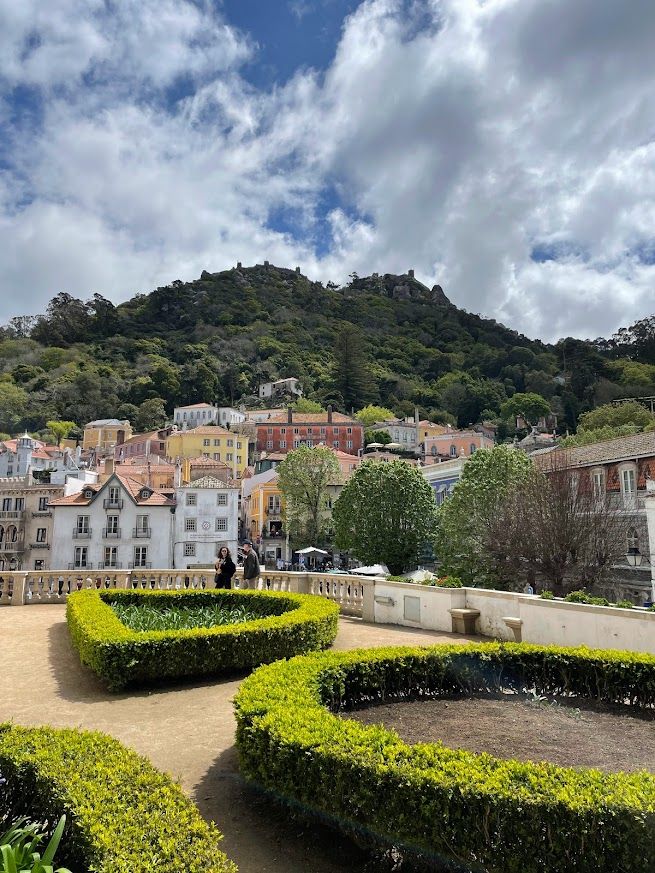 A garden with the town and forested hilltop in the background